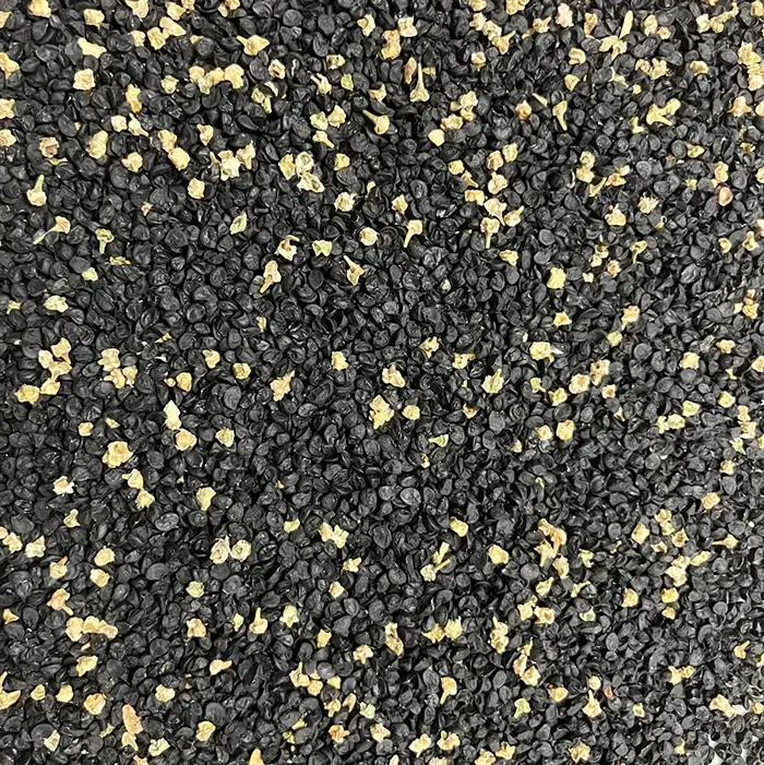 Loire Seeds